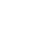 BlueNexus AI Logo